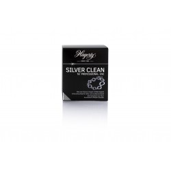 SILVER CLEAN for PROFESSIONNAL USE 170ML