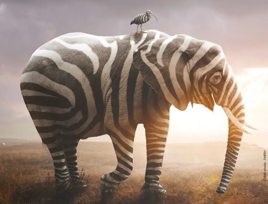 Voir les produits FAREN