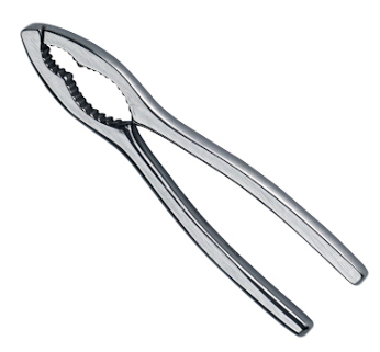 CASSE NOIX INOX LUXE