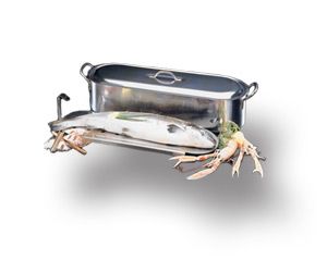 POISSONNIERE 60 INOX