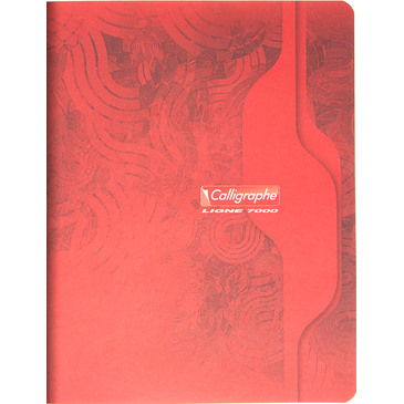 CAHIER PIQURE 17X22   96P  SEYES    *