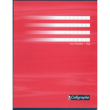 CAHIER BROCH. 17X22   192P SEYES