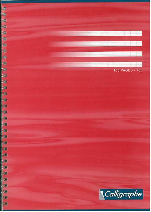 CAHIER SPIRAL.21X29,7 100P SEYES