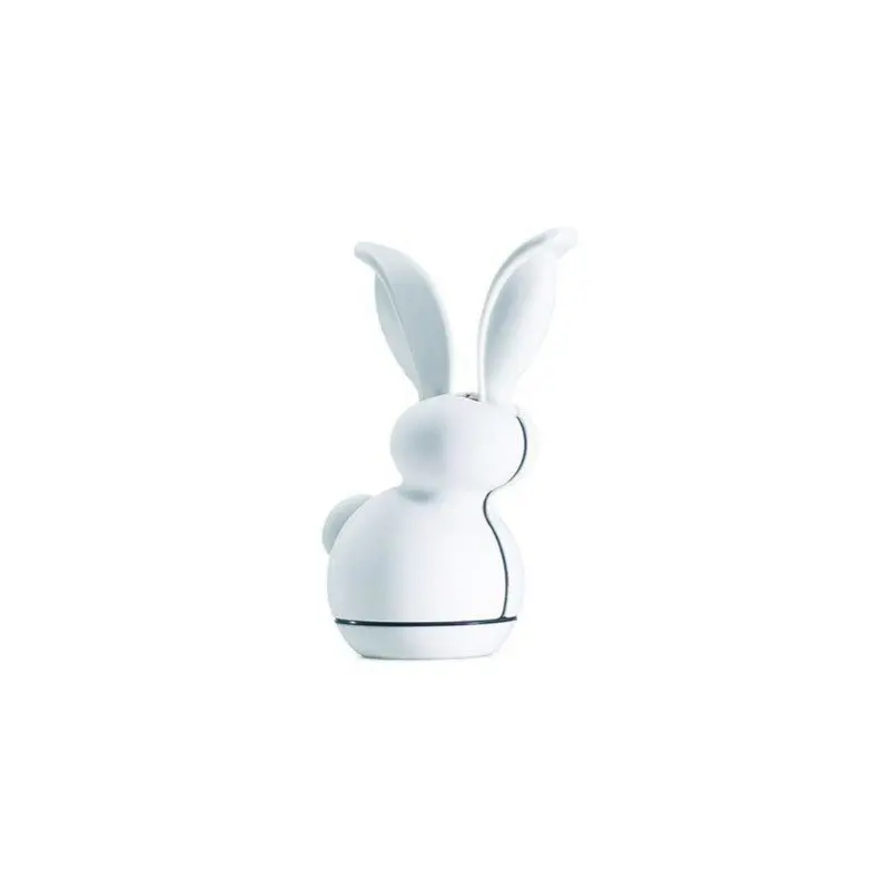 G'RABBIT MOULIN SEL         CHEF'IN 008521