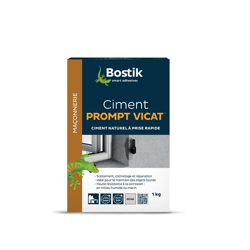 BOSTIK CIMENT PROMPT BOITE 1KG