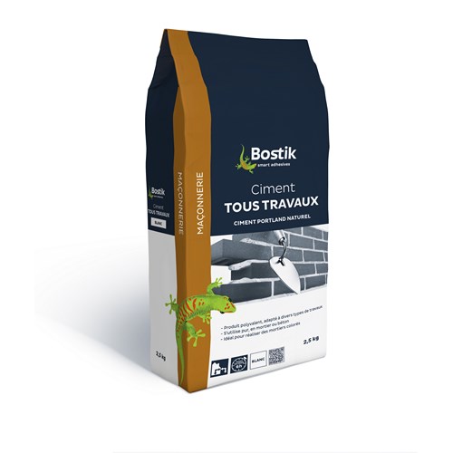 BOSTIK CIMENT T TRAV BLANC SAC 2,5KG