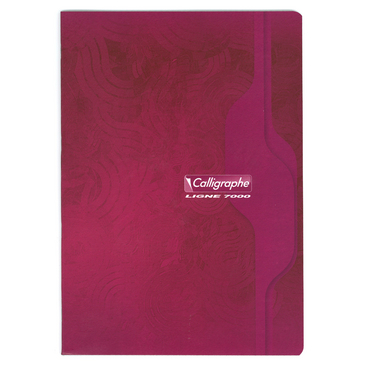 CAHIER PIQURE 21X29,7 96P  5X5