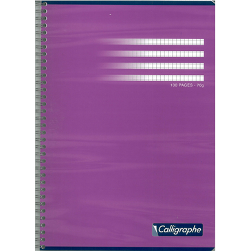 CAHIER SPIRAL.21X29,7 100P 5X5