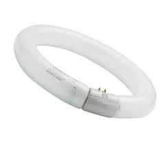 CIRCLINE 40W Ø 40 840 G10Q SYLVAN 0001967