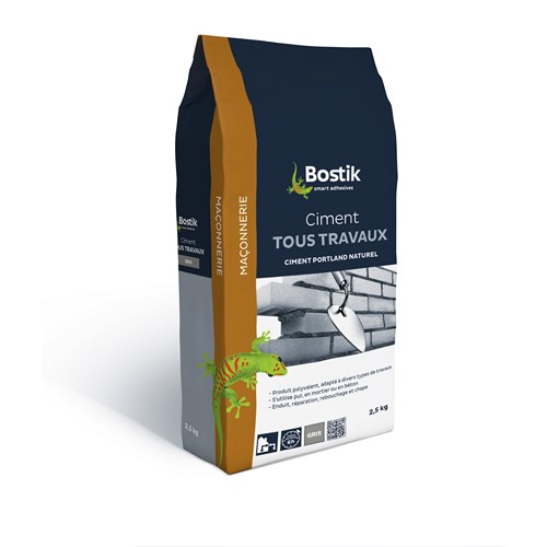 BOSTIK CIMENT TS TRAVAUX  2.5KG GRIS