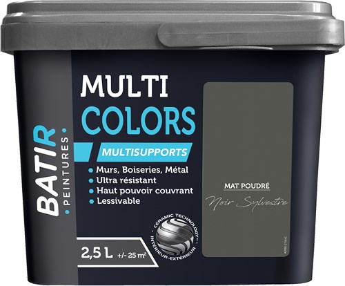 PEINTURE MAT POUDRE 2,5 L NOIR SYLVESTRE