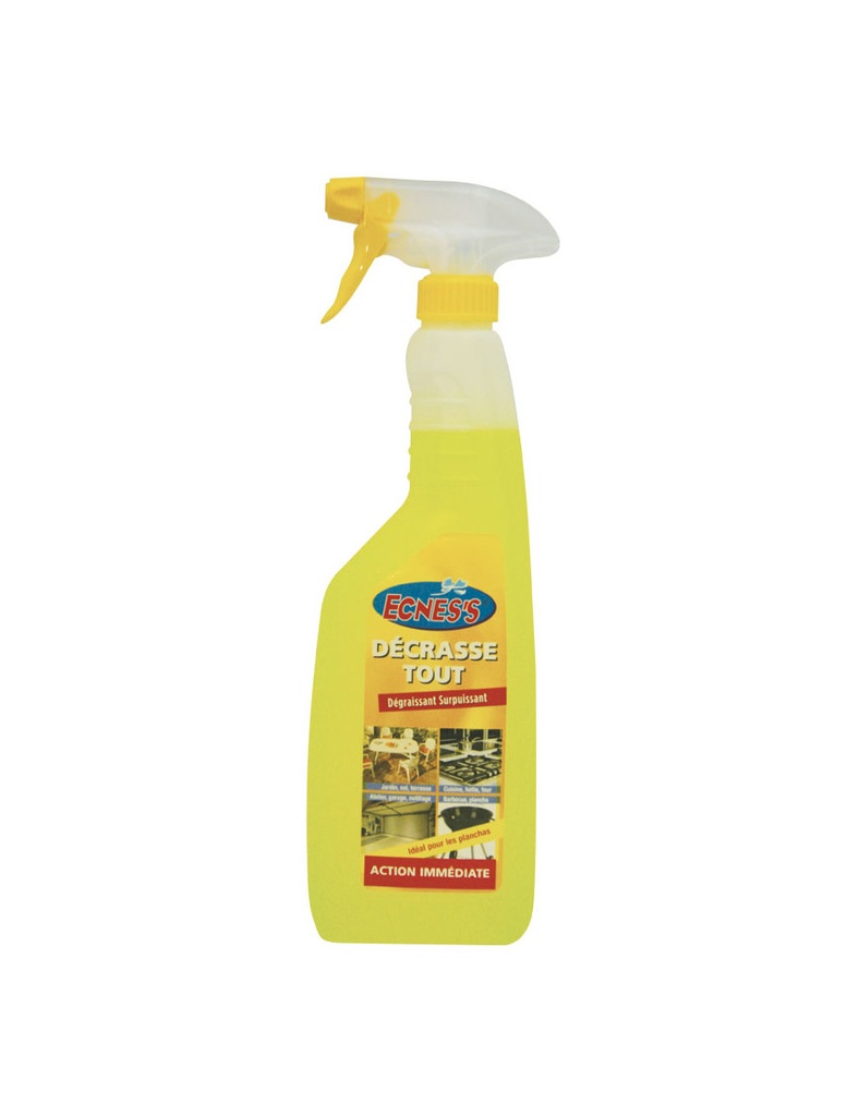 ECNES'S DECRASSE TOUT MULTIUSAGES 750ML