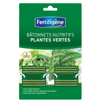 FERTILIGENE BATONNET NUTRITIF PLANTE VERTE