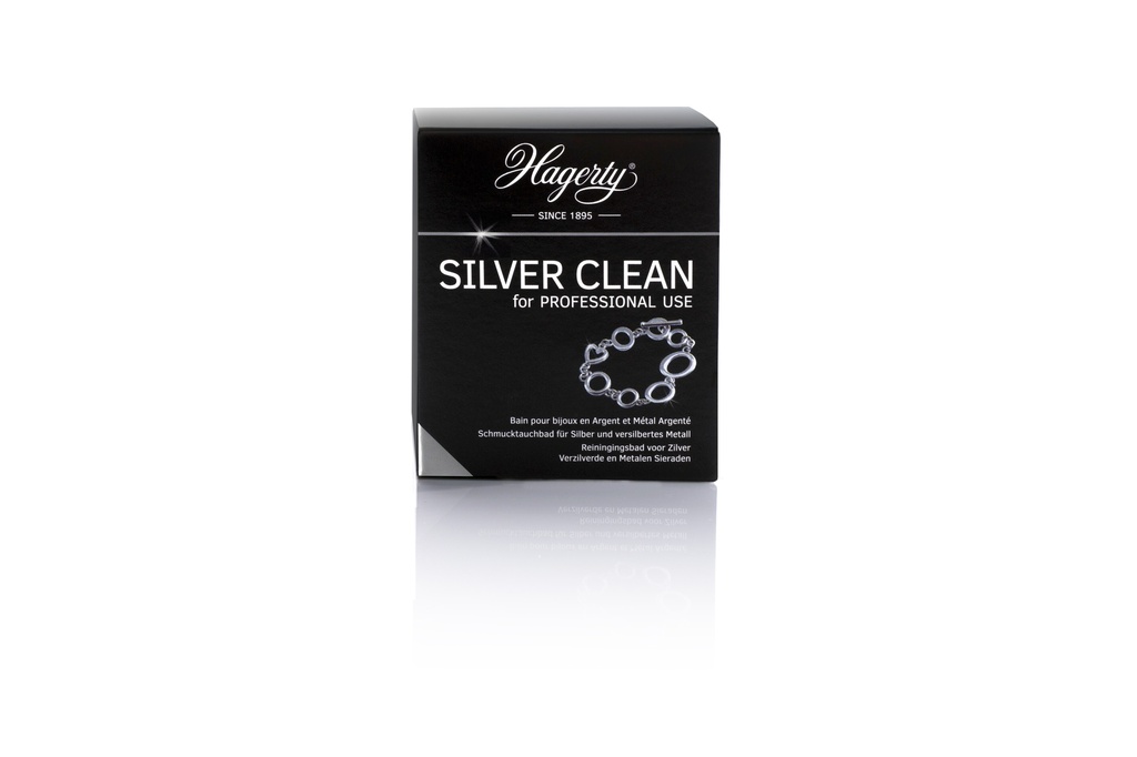 SILVER CLEAN for PROFESSIONNAL USE 170ML