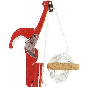 [0002594] ECHENILLOIR AVEC CORDE              4200120