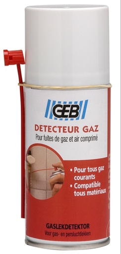 [0001713] DETECTEUR DE FUITE DST 210ML        G809360