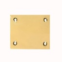 ENTREE CUIV. POL.PLEINE 65X65       EC2