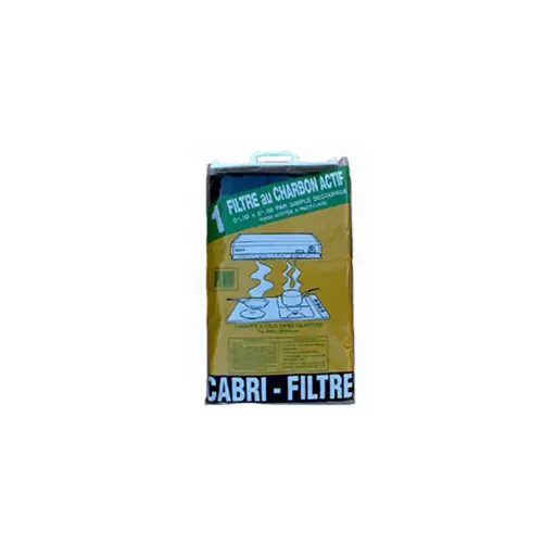 [0004005] FILTRE PR HOTTE CHARBON ACTIF       808031