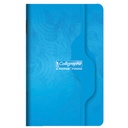 CARNET PIQURE   9X14   96P 5X5      *