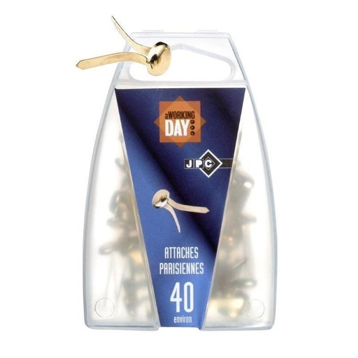 [5010887] ATTACHE PARISIENNE SACHET DE 40