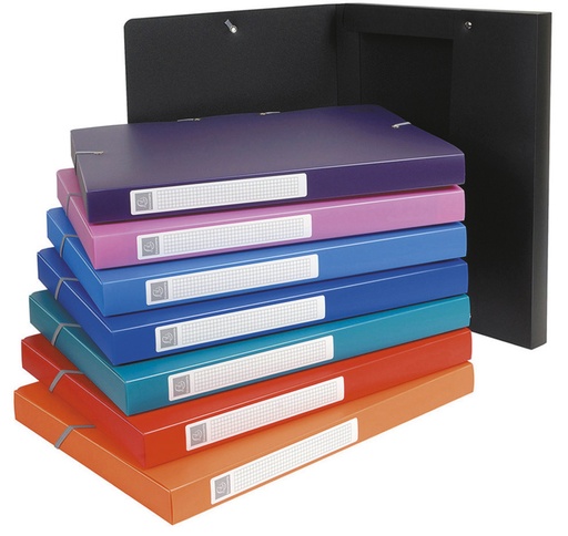 [5020635] CHEMISE 'BOX' POLY COUL 24*32 ASS