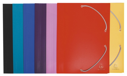 [5020640] CHEMISE 3 RABATS POLYP A4