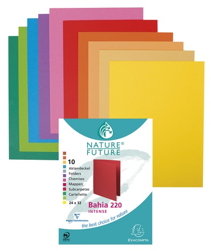 [5020626] CHEMISE ASSORTIE 24X32 *10