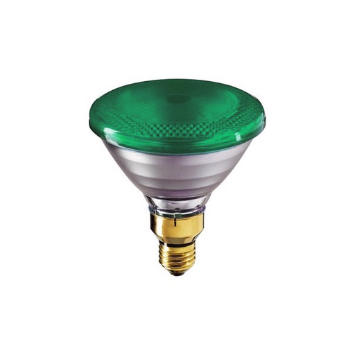 [2002122] SPOT HALO PAR38 Ø123 E27 VERT  80W  006758