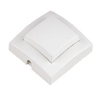 [2009536] INT CDE AU PIED BLANC          BB LEG091171