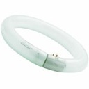 CIRCLINE 32W Ø 31 840 G10Q SYLVAN 0001964