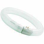 [2021441] CIRCLINE 32W Ø 31 840 G10Q SYLVAN 0001964