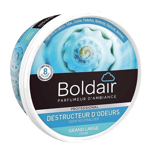 [3003682] BOLDAIR GEL DESTRUCTEUR D'ODEUR GRAND LARGE 300G