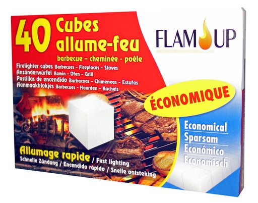 [3013900] ALLUME FEU BOIS CUBE X 40 ECONOMIQUE