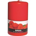 BOUGIE CYLINDRIQUE 100X60 FRUITS ROUGES