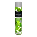 BOLDAIR MENTHOLEE BACTERICIDE AEROSOL 500 ML