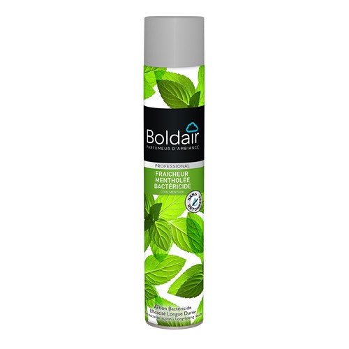 [3003706] BOLDAIR MENTHOLEE BACTERICIDE AEROSOL 500 ML