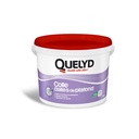 QUELYD COLLE DALLES PLAFOND 7K