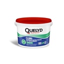 QUELYD COLLE REVET LISSE RENOV LEGER 5K