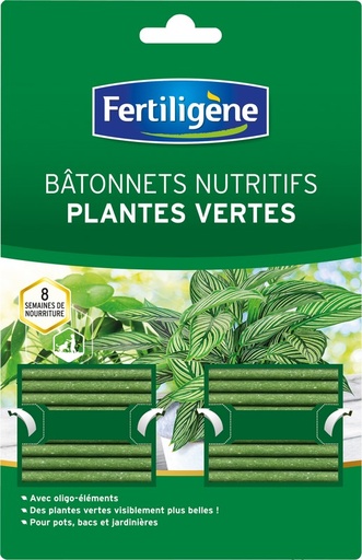 [6190113] FERTILIGENE BATONNET NUTRITIF PLANTE VERTE