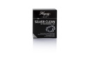 SILVER CLEAN for PROFESSIONNAL USE 170ML