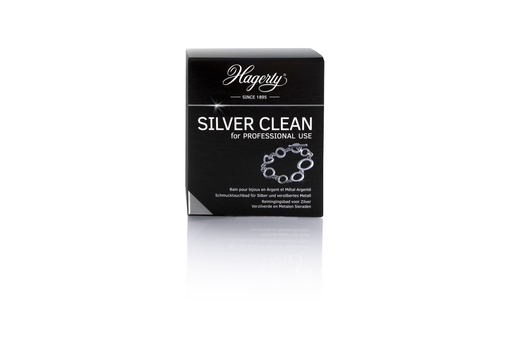 [3001702] SILVER CLEAN for PROFESSIONNAL USE 170ML
